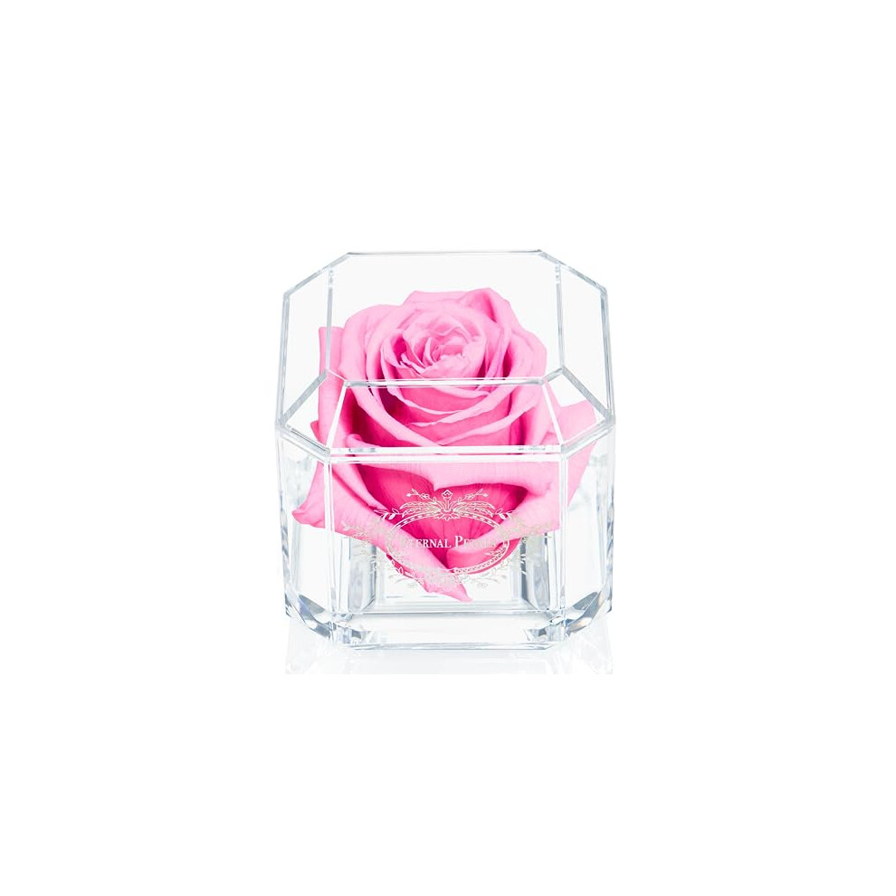 Eternal Petals A 100% Real Rose That Lasts A Year - The Perfect Unique Gift for Women and Men, An, A Birthday Gift (Pink)