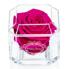 Eternal Petals A 100% Real Rose That Lasts A Year - The Perfect Unique Gift for Women and Men, An, A Birthday Gift (Hot Pink)