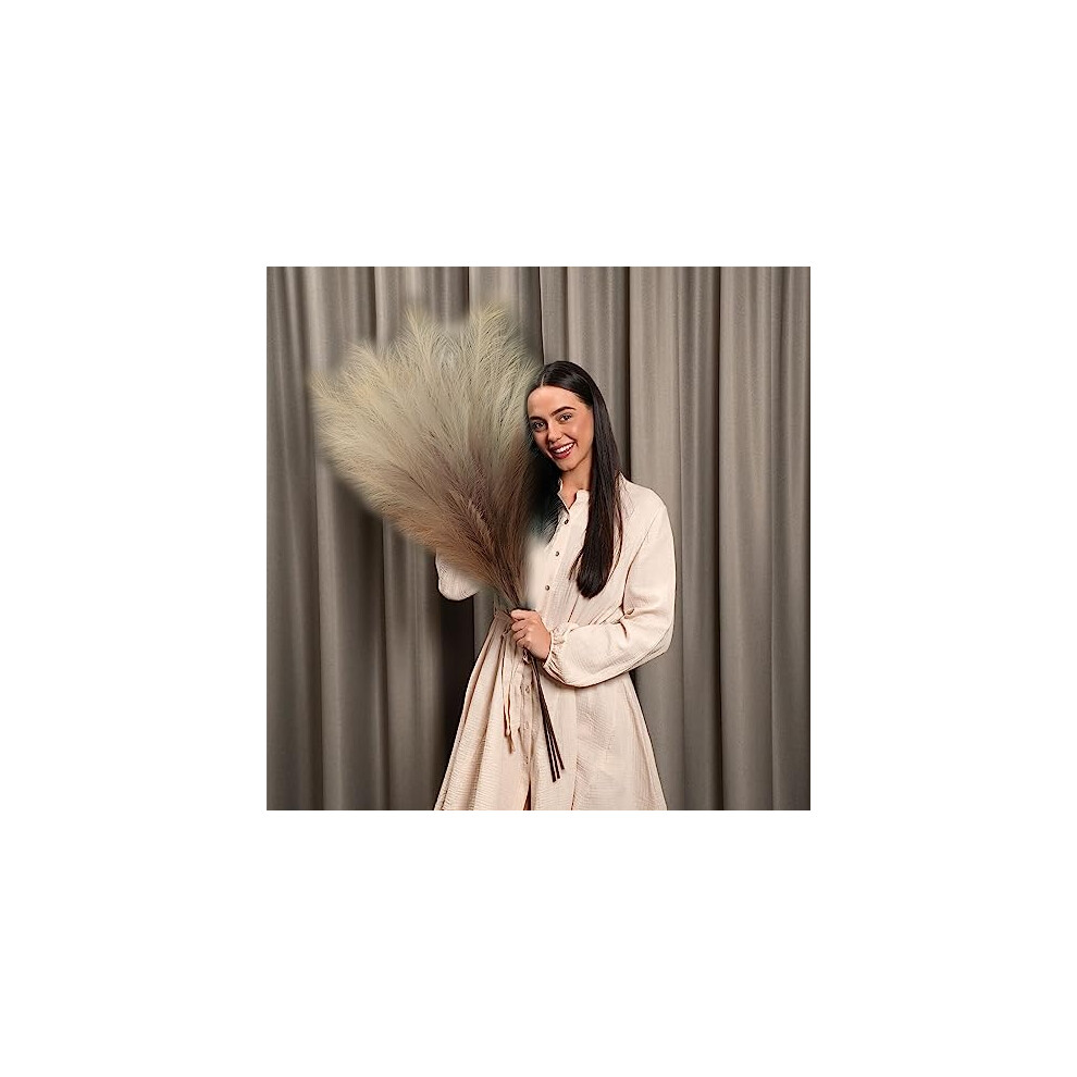 Flossophy 110Cm Tall Pampas Grass Artificial Grass Plant Feathers For Vase - 3-Stem Gradient Colour Effect Large Pampas Grass Bouquet - Extra Tall