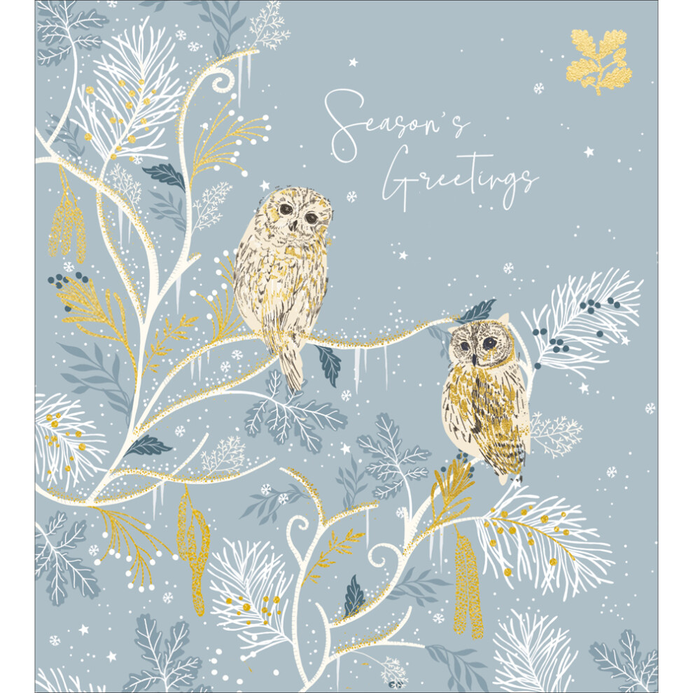 Pack Of 5 National Trust Season's Greetings Owl Whoo-Hoo Charity Christmas Cards