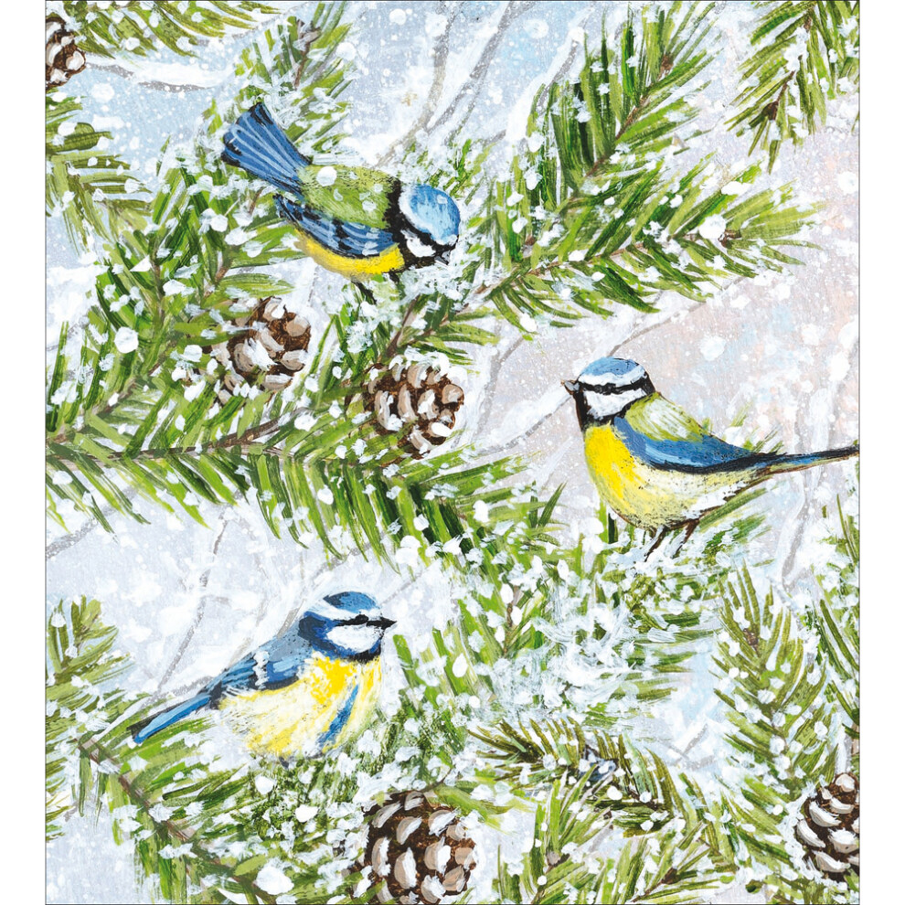 Pack Of 5 Winter Wishes Blue Tits Trio Charity Christmas Cards