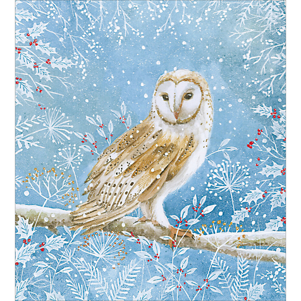 Pack Of 5 Snowy Day Nighty-Night Owl Charity Christmas Cards