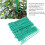 50 Stück Garten Schnur Garten Krawatte 13CM 3