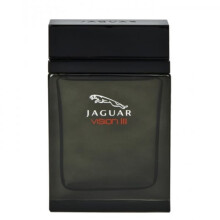 Jaguar Vision Iii 100ml EDT Spray