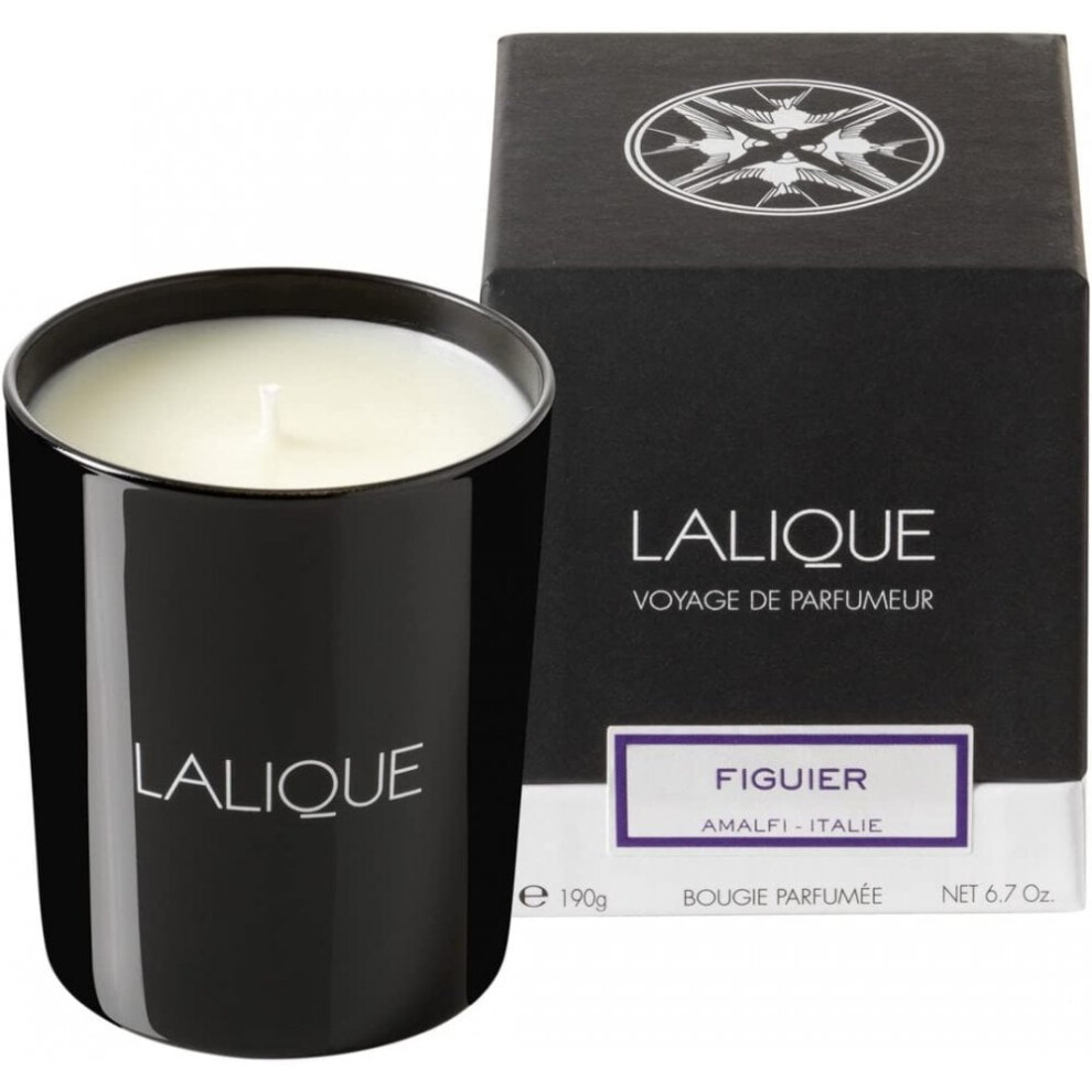 Lalique Candle 190g - Figuier Amalfi - Image 7