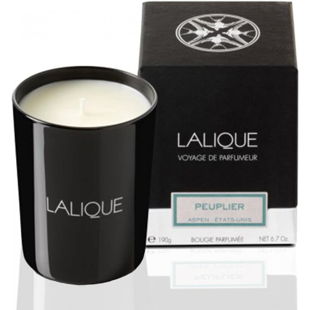 Lalique Candle 190g - Peuplier Aspen