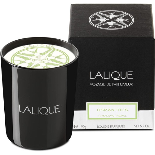 Lalique Lalique Candle 190g - Osmanthus Himalaya
