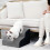 Living And Home (2 Steps) Comfy Non-Slip Pet Steps with Removable Cover 4