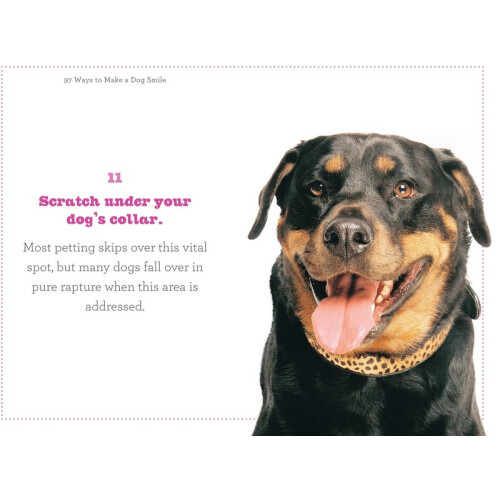97 Ways To Make A Dog Smile 1