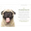97 Ways To Make A Dog Smile 3