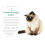 97 Ways To Make A Cat Like You 2