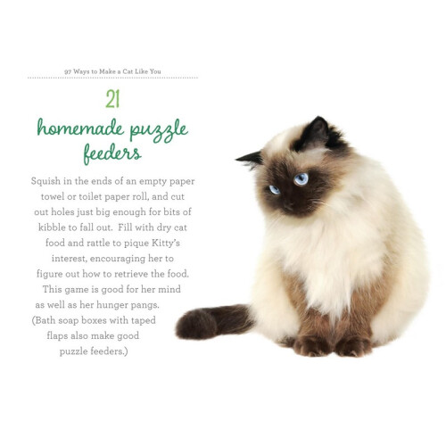 97 Ways To Make A Cat Like You 1