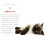 97 Ways To Make A Cat Like You 3