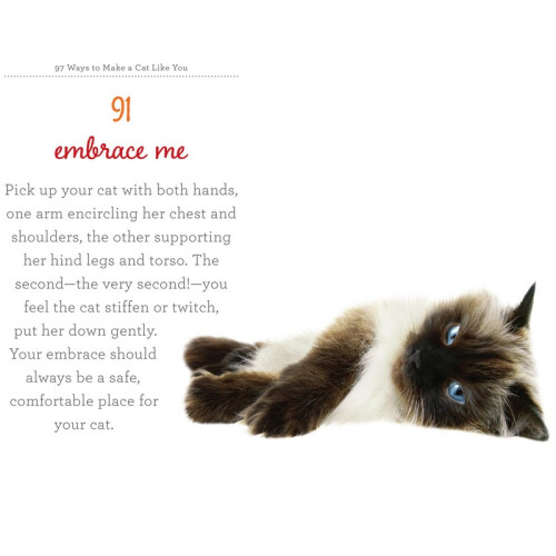 97 Ways To Make A Cat Like You 2