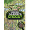 Star Wars Wheres Grogu 1