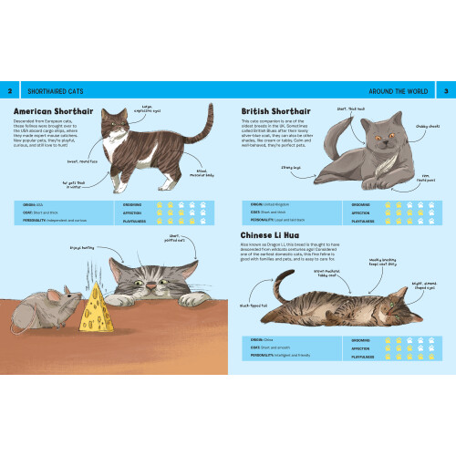 Cats Illustraed Guide To 100 Cats Book 2