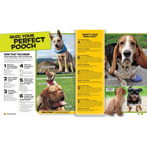 Everything Dogs 2