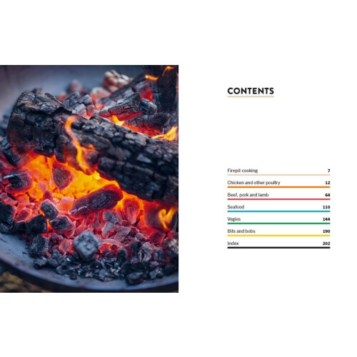 Firepit Barbecue 1