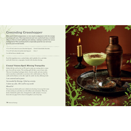 Witchy Cocktails Book 2