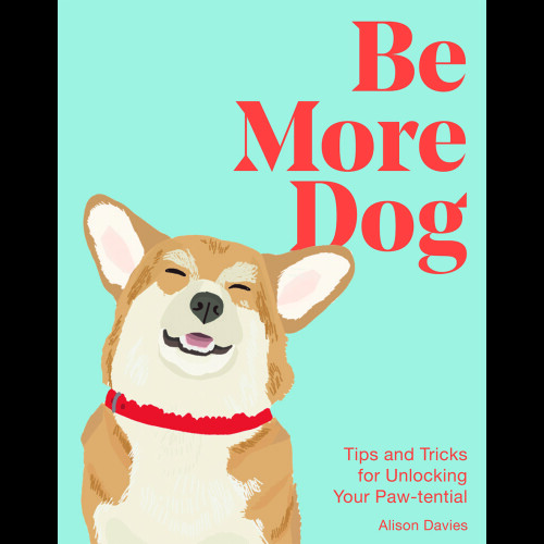 Be More Dog