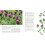 The Garden Apothecary 3
