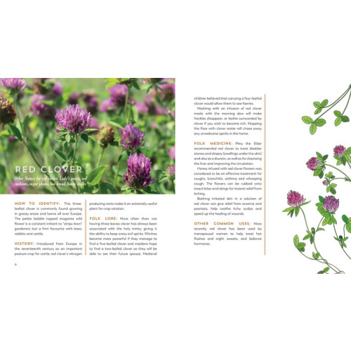 The Garden Apothecary 2