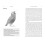 Be a Birder 3