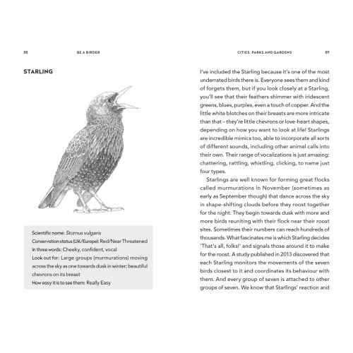 Be a Birder 2