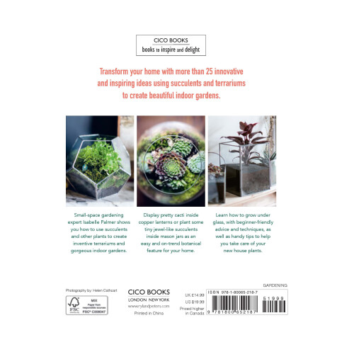 Terrarium Imaginarium 1