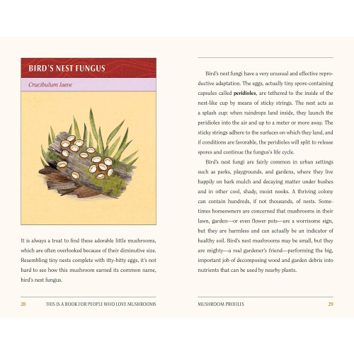 This is a Book for People Who Love Mushrooms 2