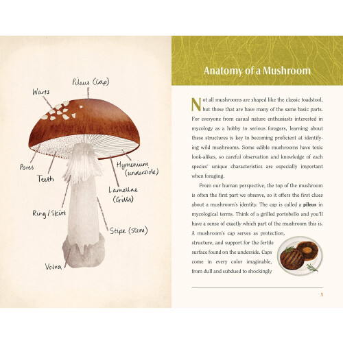 This is a Book for People Who Love Mushrooms 1