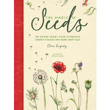 The Magic of Seeds