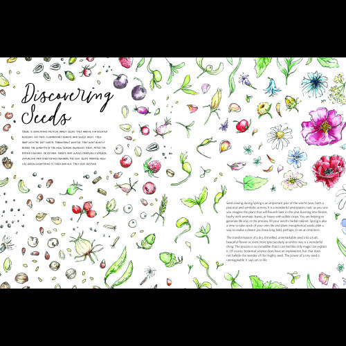 The Magic of Seeds 1