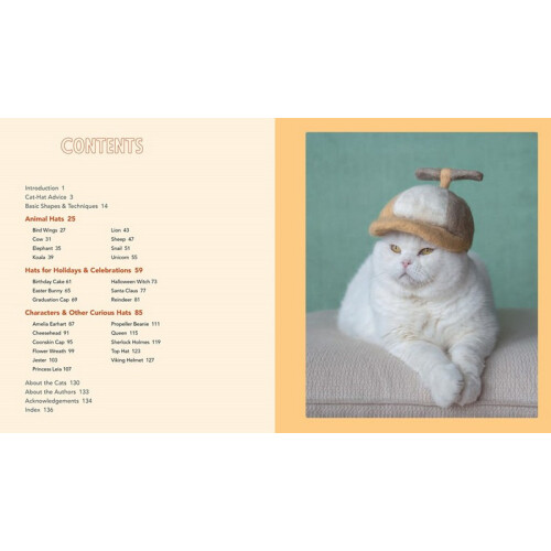 Cats in Hats 1