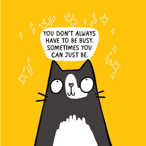Cattitude 2