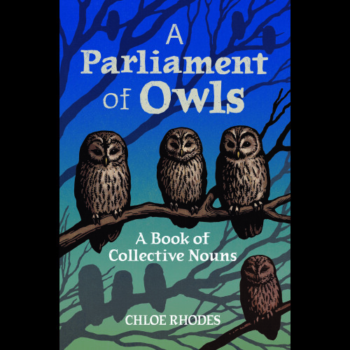 A Parliament of Owls