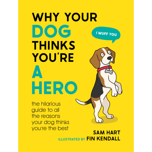 Why Your Dog Thinks You're a Hero