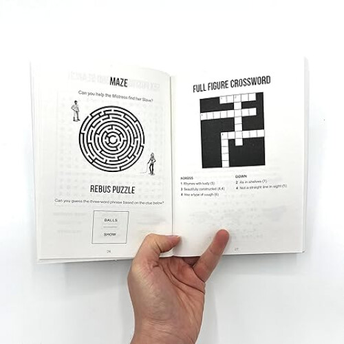 Naughty Puzzle Book 2