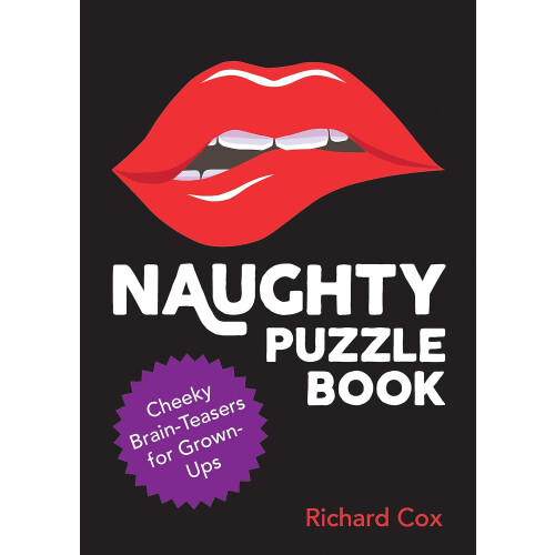 Naughty Puzzle Book