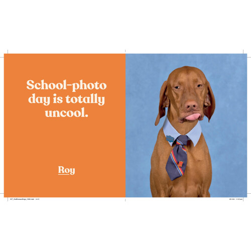 Well Dressed Dogs 2