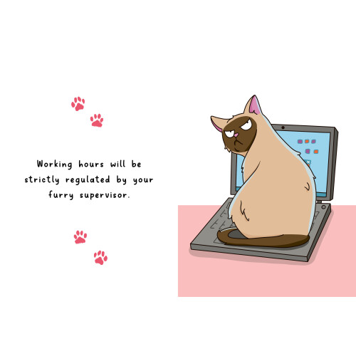 The Little Instruction Book for Cat Parents 2