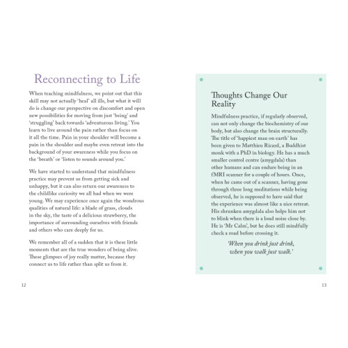 The Little Book Of Mindfulness 1