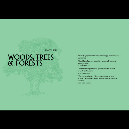 Woodland Wisdom Book 1