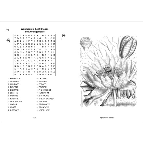 The Kew Gardens Calming Puzzles Collection 1