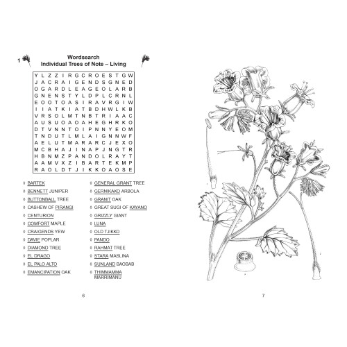 The Kew Gardens Calming Puzzles Collection 2