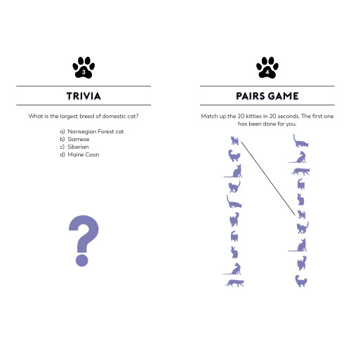 The Cat Lover's Puzzle Book 2