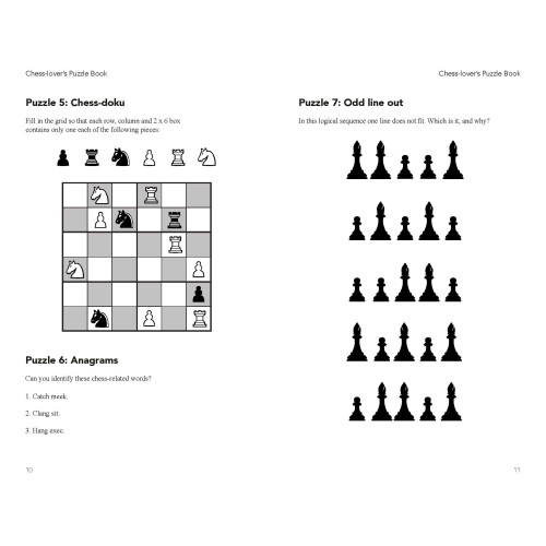 The Chess Lover's Puzzle Book 2