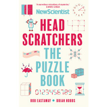 Head Scratchers the Puzzle Book