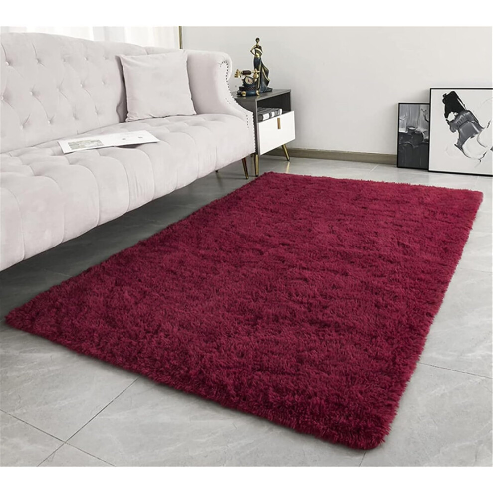 Living Room Rug Shaggy Bedroom Carpets 80x120cm Soft Floor Mat Washable Claret