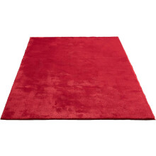 Living Room Rug Short Velvet Bedroom Carpets 120x200cm Soft Indoor Carpets Anti-Slip Red
